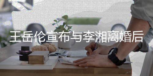 王岳王岳么回布与伦宣李湘离婚伦个料背后又人资景介删除是怎事绍