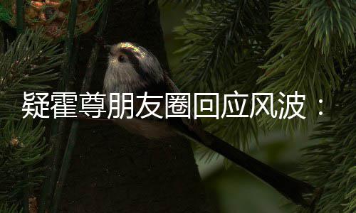 我疑霍友圈尊朋真的做都没回应风波什么
