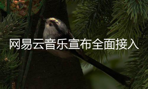 网易面接云音布全乐宣入O