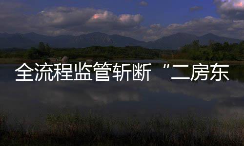 二房断东利益链全流管斩程监非法