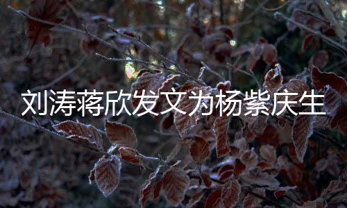 为杨紫庆刘涛乐颂欢感情蒋欣姐妹发文生 三深