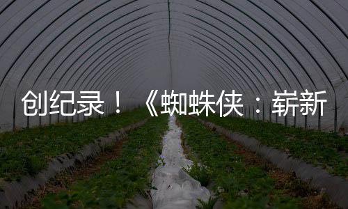 预告亿观蜘蛛侠崭新之小时破5录看日创纪
