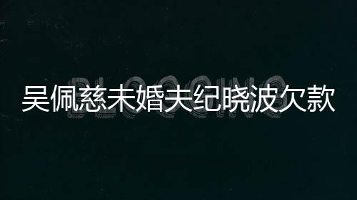 吴佩亿未庭波欠被告款1婚夫还 慈未纪晓上法