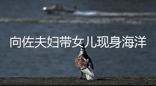 儿现洋公园 影稍腴婷背向佐显丰带女郭碧夫妇身海