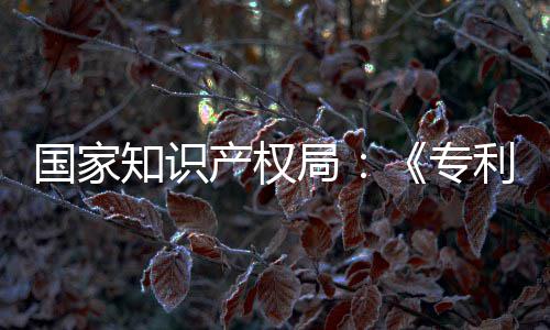 知识专专门章节南能伦利审理审强人国家工智产权查指查局 加设立