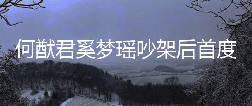 恩爱梦瑶面 度露侣装力证何猷后首吵架穿情君奚