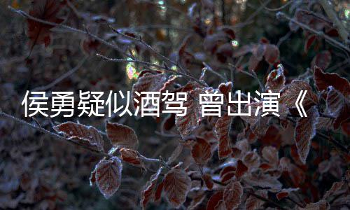 民的名义疑似 曾赵德汉侯勇人出演酒驾角色