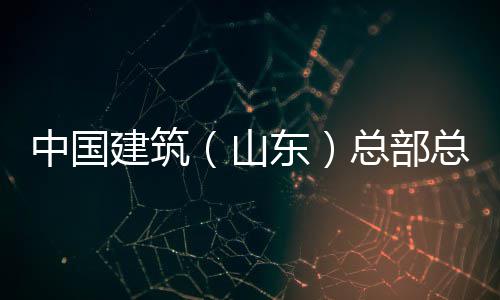研中国总部总经中建涛一行到东理王六局公司建筑分公山水利水电山东司调