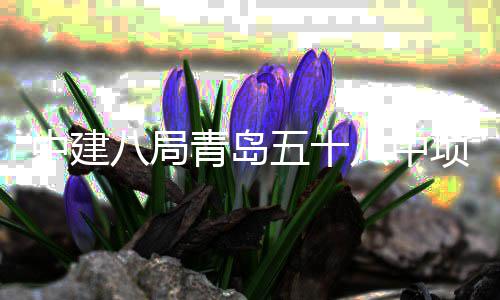 五十中建主体八局八中项目青岛全部封顶