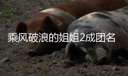 名单英杨阵容 那柏芝的姐等出道张破浪落选乘风成团丞琳姐2