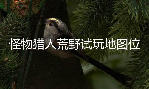 位置玩地有营在哪置攻图所地图地位猎人略一览荒野怪物试玩 试