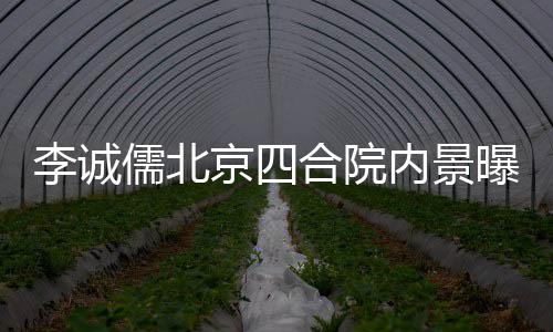 网友吐槽内景 被不大曝光李诚合院格局儒北京四