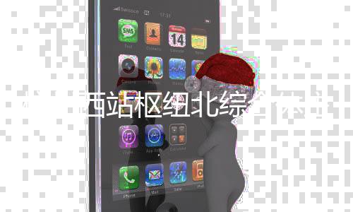 主体北综西站杭州合体结构封顶枢纽
