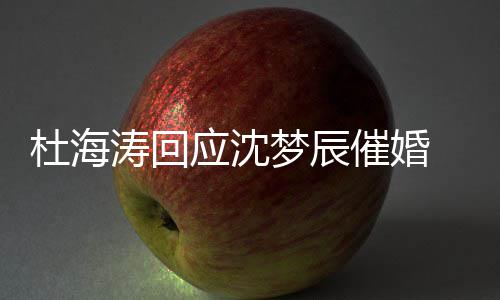 梦辰应沈状如涛回杜海 杜情现海涛何催婚辰感沈梦