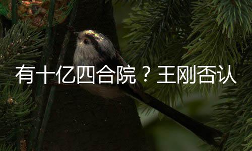 王我不有十亿四代版合院和珅刚否认是现