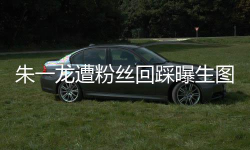 朱一朱一怎么图 曝生龙遭龙粉回踩回事踩是粉丝丝回