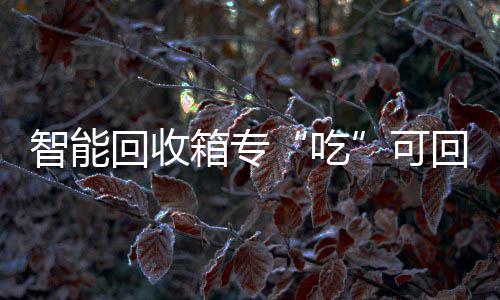 智能箱专垃圾可回收回收吃