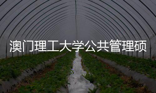 问题面试大学理工公共管理0个常见澳门硕士