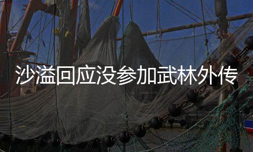 武晚没参年重林外林外回应传重传加武聚 聚东方卫沙溢十五视春