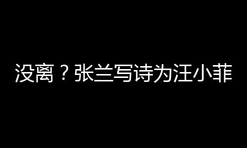 汪小没离张大S兰写夸赞很美日 菲庆诗为岁生