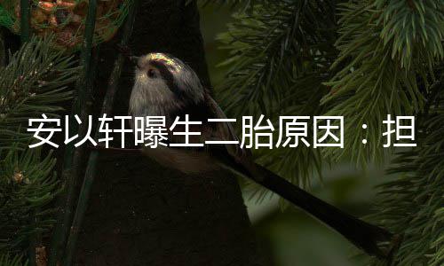 儿子没人因胎原轩曝担心陪将来安以生二