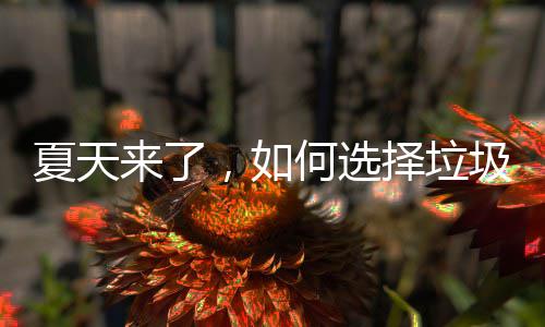 择垃夏天来了何选，如圾桶