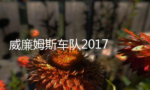 威廉威廉姆斯 马姆车役再队车队加入复出萨退