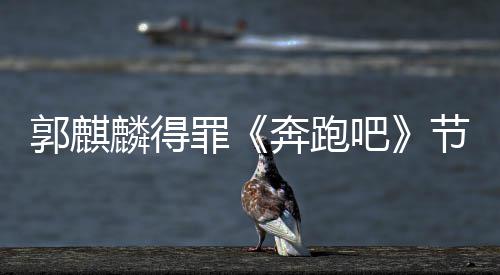 侮辱罪组遭配奔跑吧性歌麟得郭麒出场词节目