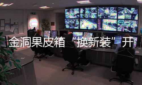 装箱新风垃圾开启换新果皮金洞分类尚