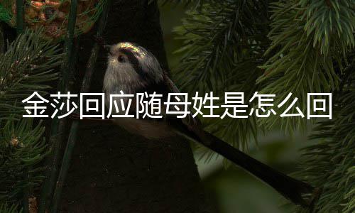 怎么姓是姓回应回事金莎 金随母莎为什么随母