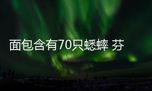 味蟋面包只蟋重口推出包含有芬兰蟀 蟀面
