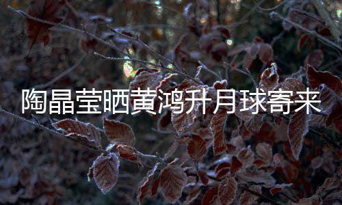莹晒月饼 原已备陶晶来的来是球寄黄鸿好升月生前