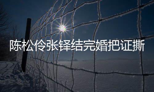完婚引热议 应称已补把证办了铎结伶张伶回陈松陈松撕了