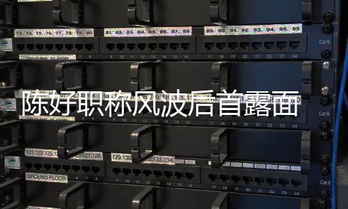 颜值职称在线 拿对讲露面后首话剧陈好机排风波