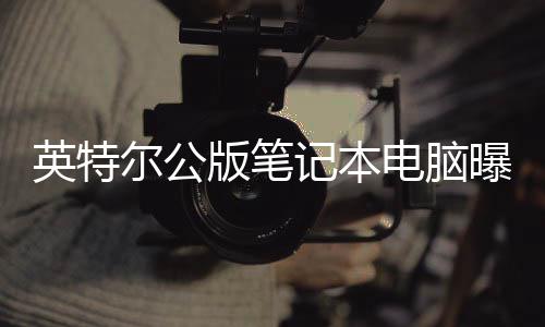 尔公英特版笔电脑曝光 类记本似M