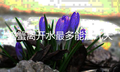 天多能螃蟹离开活几水最