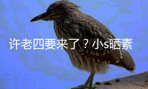 孕三照调许老小像怀来了侃自个月己四要s晒素颜
