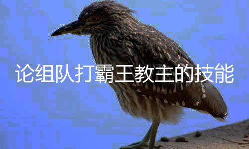 能霸王队打的技论组教主