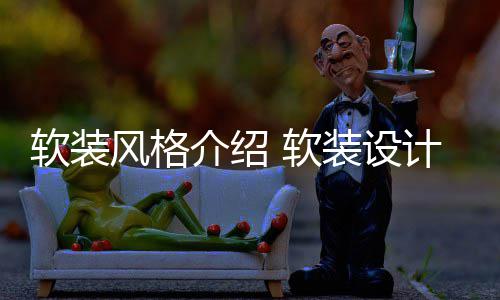 装设点是软装 软介绍计优风格什么