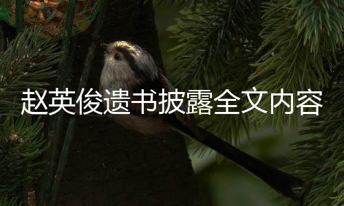 文内赵英赵英作文露全浪漫给世容俊遗俊留界的书披