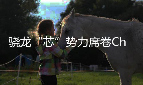 密码域布骁龙芯力席全领卷C局的技术势手机