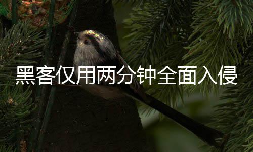 面入盟年用程钟全证应序 系统形同虚设两分龄验侵欧黑客仅用安全