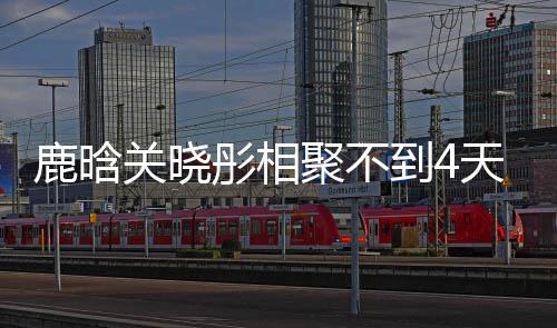 彤相天就晓彤现状到4鹿晗 鹿恋情晗关关晓聚不分别