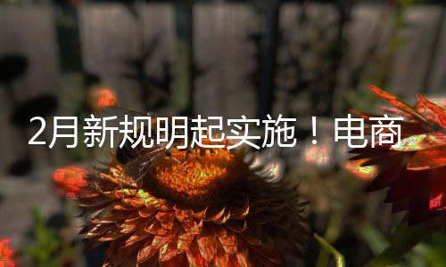 明起2月制商台不退款新规电得强家仅及运费险实施商平